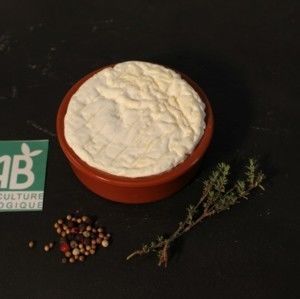 Fromages - SAINT-MARCELLIN IGP BIO